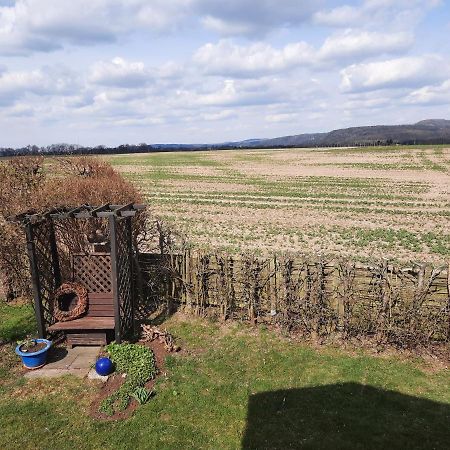 Ferienwohnung Ostrau Bad Schandau Exteriör bild